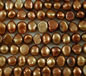 Golden Brown Fresh Water Pearls 6-7mm
