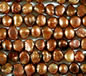 Dark Golden Brown Fresh Water Pearls 5-6mm