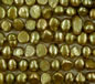 Olive Green Fresh Water Pearls 6-8mm